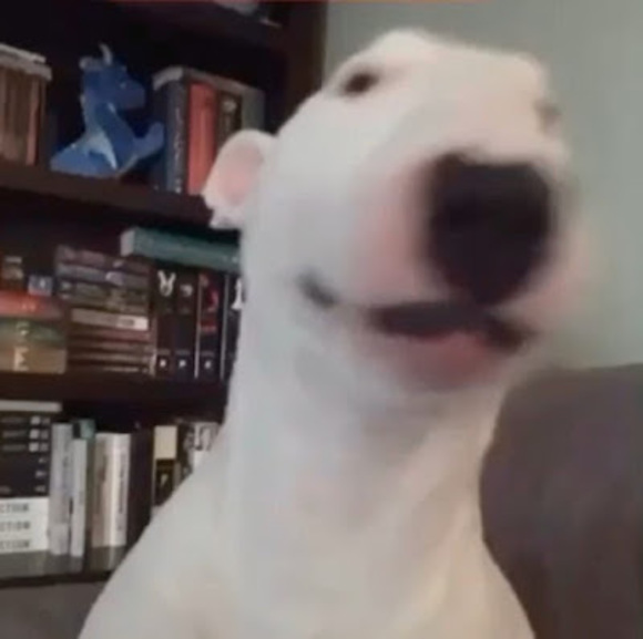 Meet your Posher, Glock - Picture 1 of 1